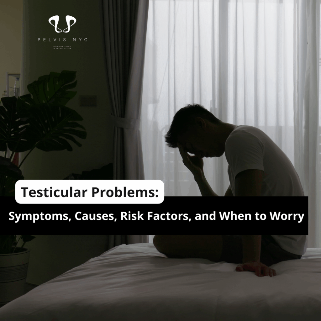 Testicular Problems: Symptoms, Causes, Risk Factors, and When to Worry