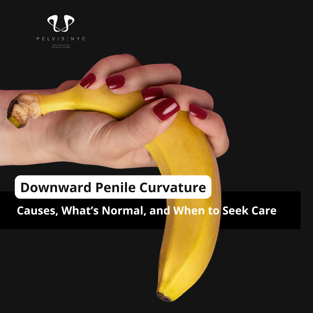Downward Penile Curvature: Causes, What’s Normal, and When to Seek Care