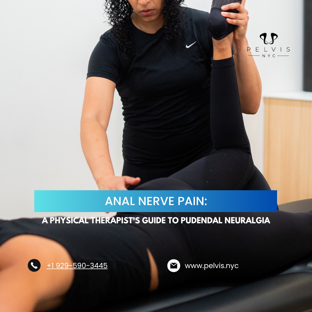 Anal Nerve Pain: A Physical Therapist's Guide to Pudendal Neuralgia